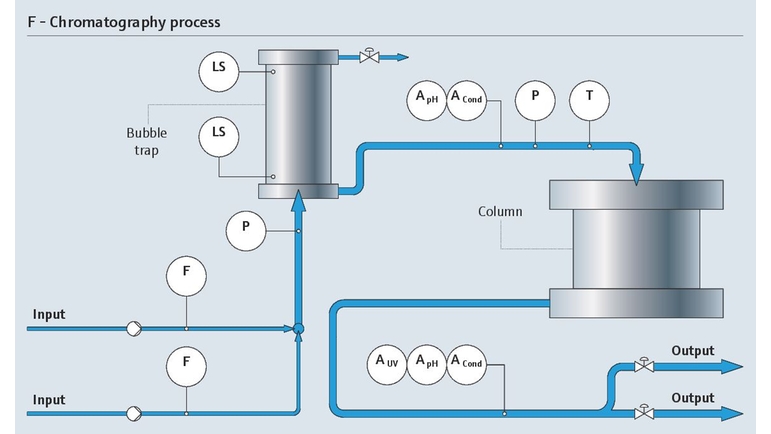 Chromotography process